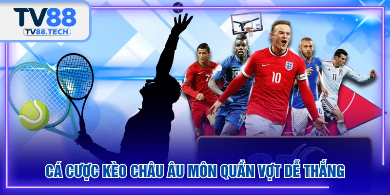 Cá cược kèo châu Âu môn quần vợt dễ thắng