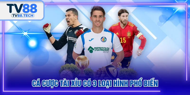 Cá cược Tài Xỉu có 3 loại hình phổ biến