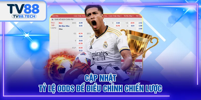 Cập nhật tỷ lệ Odds để điều chỉnh chiến lược