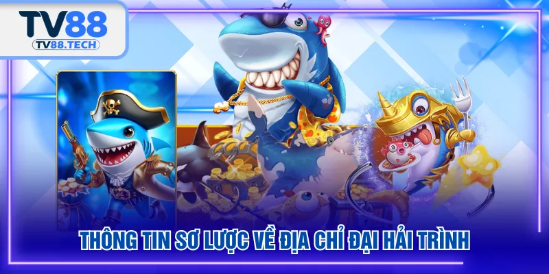Thông tin sơ lược về địa chỉ Đại Hải Trình
