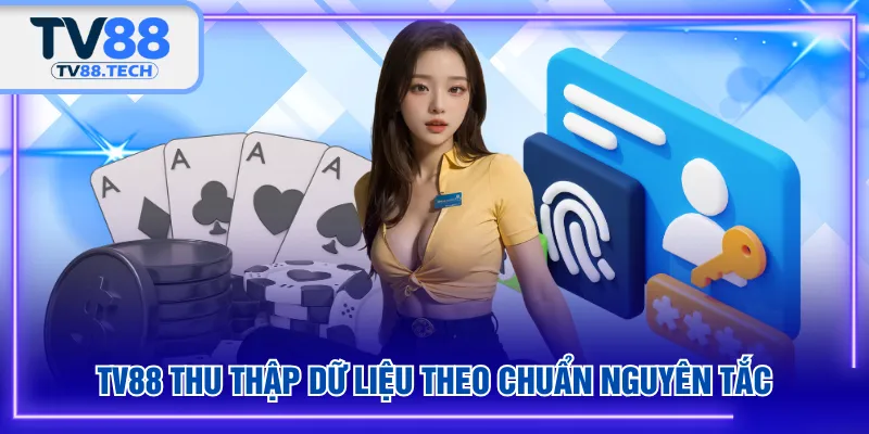 TV88 thu thập dữ liệu theo chuẩn nguyên tắc