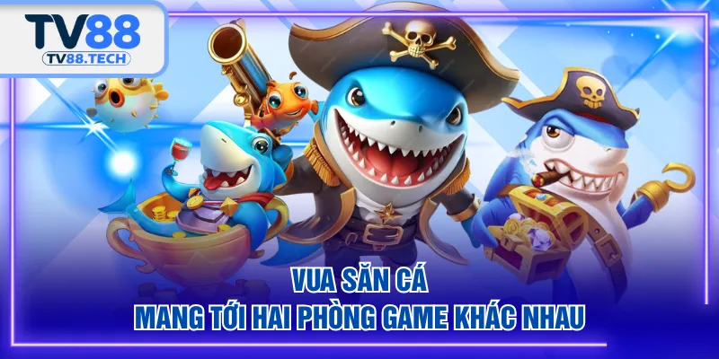 Vua Săn Cá mang tới hai phòng game khác nhau